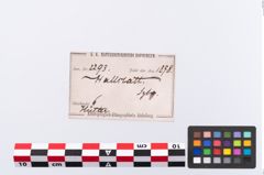 Etikett zu Astragalus (NHMW-PRAE-002293)